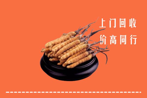 收购行情：德昌县冬虫夏草回收多少钱每克