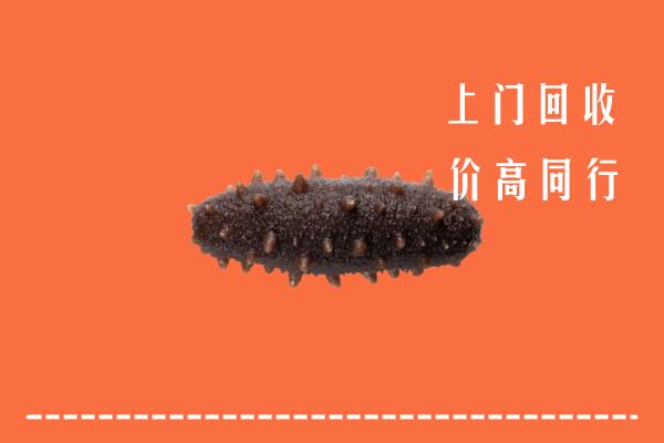 收购行情：德昌县回收海参